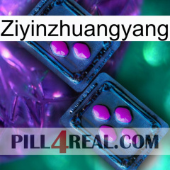 Ziyinzhuangyang 03